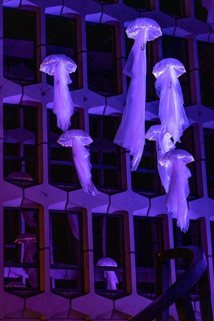 Lilu Lichtfestival Luzern | Medusa
