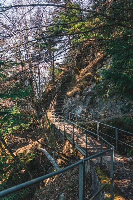 Waldstätterweg Etappe 7 | Risletenschlucht