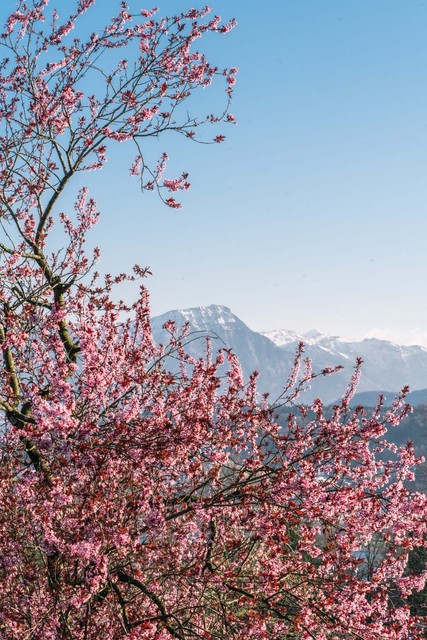 Datinglocation | Konsipark | Stanserhorn