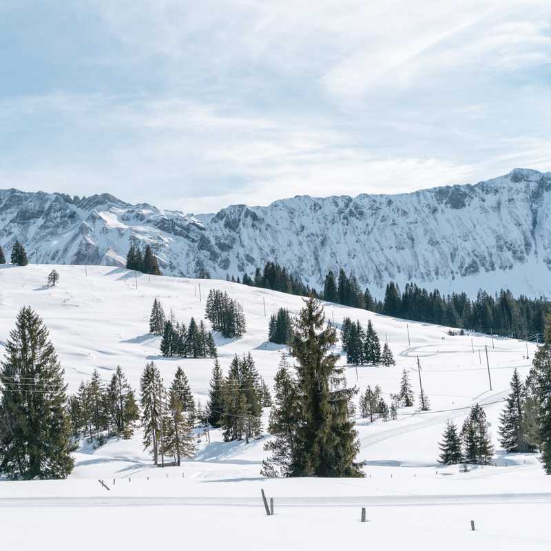 Gastronomische Rundwanderung