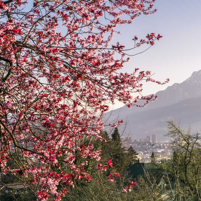 Top 7 Dating Locations